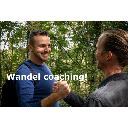 Wandel coaching